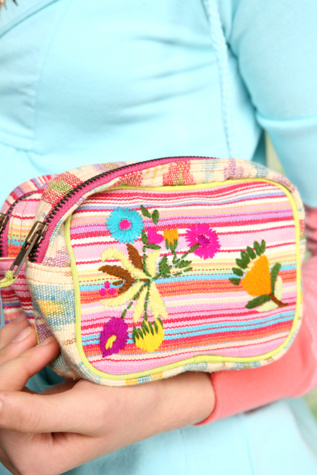 Well Traveled Cosmetic Bag