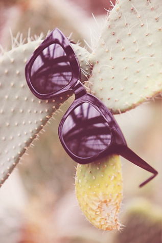 Kensington Sunglass by Free People