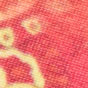 Paisley pink / yellow