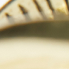 Bronze half circle