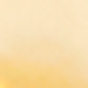 Gold Triangle