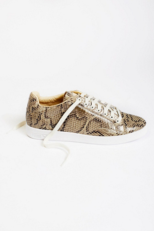 Match Animal Court Sneaker by Puma