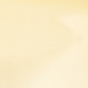 Gold Shimmer