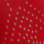 Cardinal Red