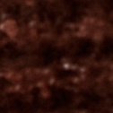 Cinnamon