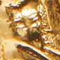 Aquarius