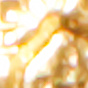 Pisces
