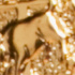 Taurus