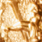 Virgo