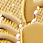 Capricorn