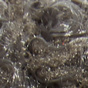 Slate