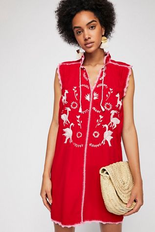 Embroidered Oaxaca Mini Dress