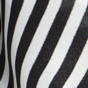 Black / White Stripe