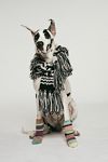 Thumbnail View 1: Mile High Fringe Scarf