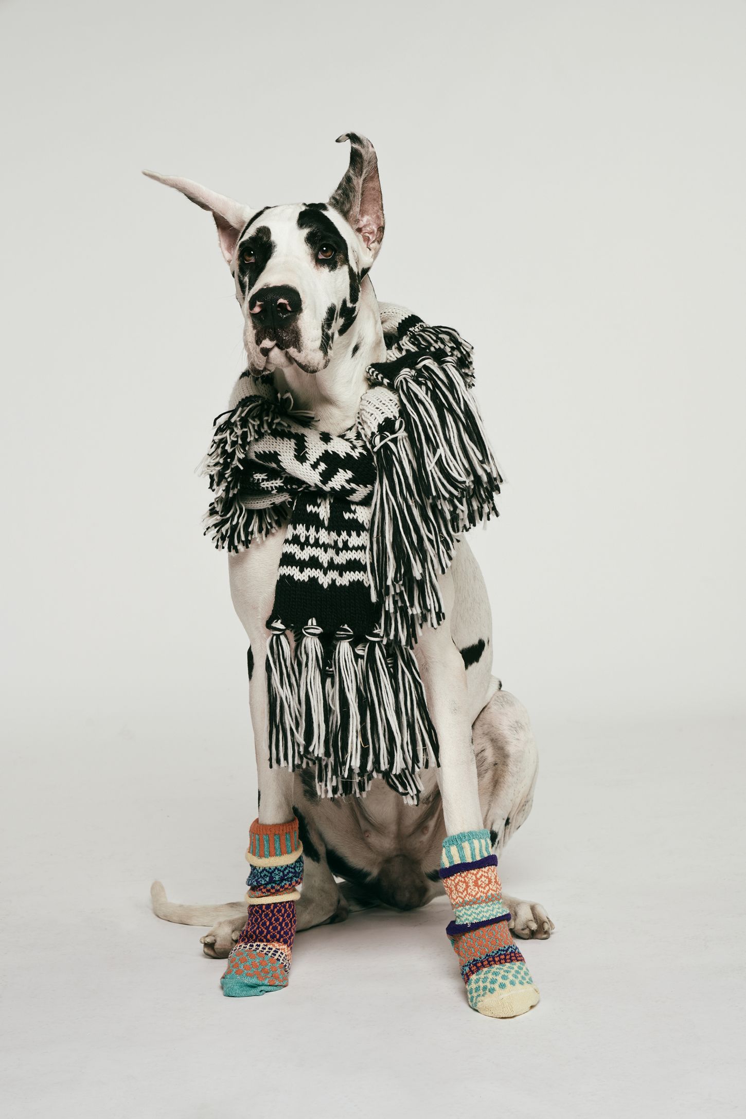 Slide View 1: Mile High Fringe Scarf