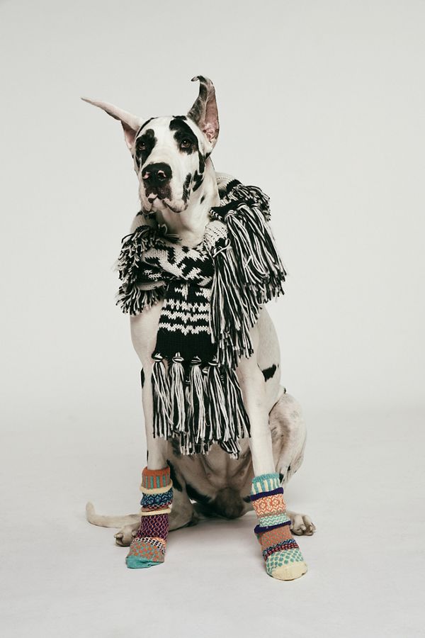 Slide View 1: Mile High Fringe Scarf