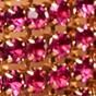 Gold / Pink