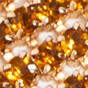 Gold / Warm