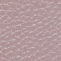 Iris / Silver