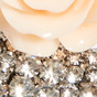 Silver / Blush
