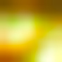 Olive / Gold