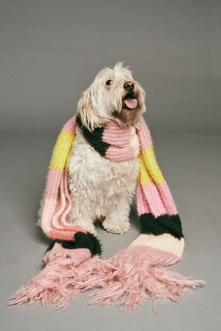 Dream Maker Stripe Scarf