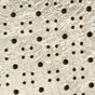 Gold Foil