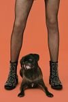 Thumbnail View 1: Cocktail Hour Embellished Boot