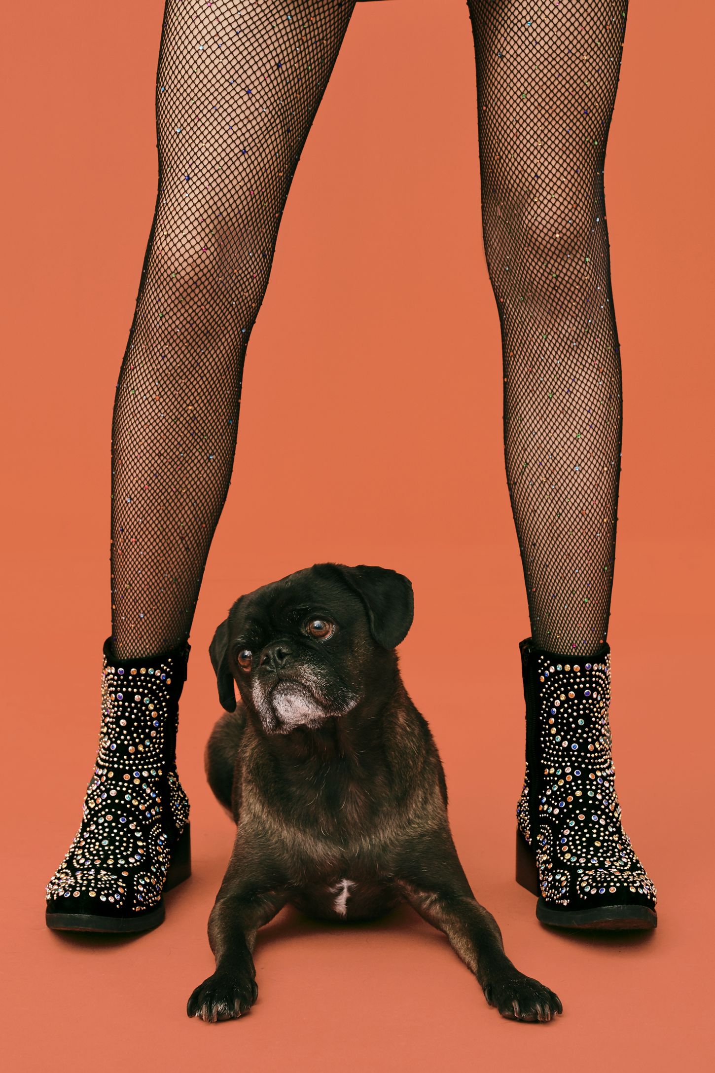Slide View 1: Cocktail Hour Embellished Boot