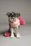 Thumbnail View 1: Ditsy Pom Mohair Cuddle Scarf