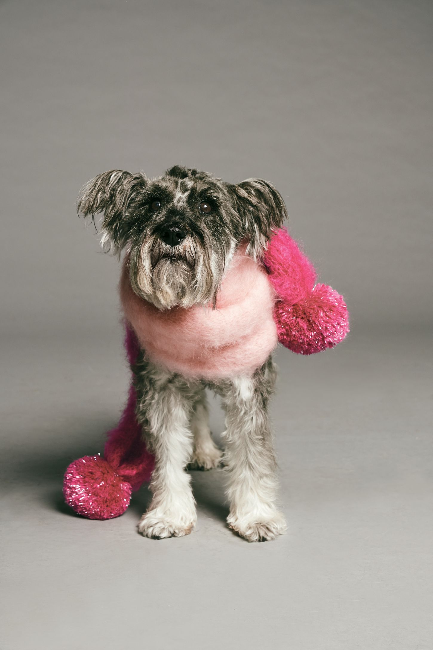 Slide View 1: Ditsy Pom Mohair Cuddle Scarf