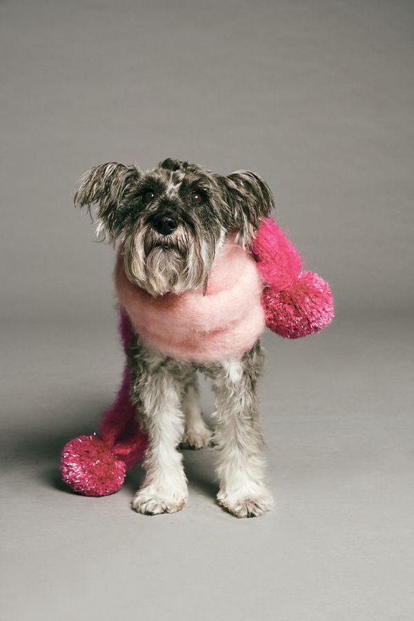 Slide View 1: Ditsy Pom Mohair Cuddle Scarf
