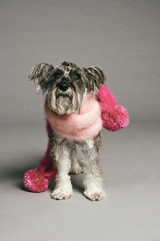 Ditsy Pom Mohair Cuddle Scarf