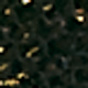 Black / Gold