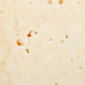 Travertine