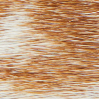 Caramel