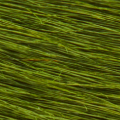 Green Cowhide