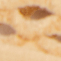 Brown Combo