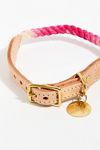 Thumbnail View 2: Ombre Rope Dog Collar