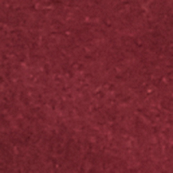 Sneakers for Women - Converse, Running Shoes & High Tops | Free People